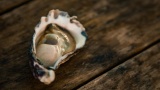 Boost Your Sex Life With These Top 10 Sex-Friendly Foods For The Bedroom