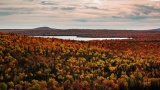 From Fall Colors To Sunset Walks On The Beach, 17 Ways To Explore Your Michigan Romance Together