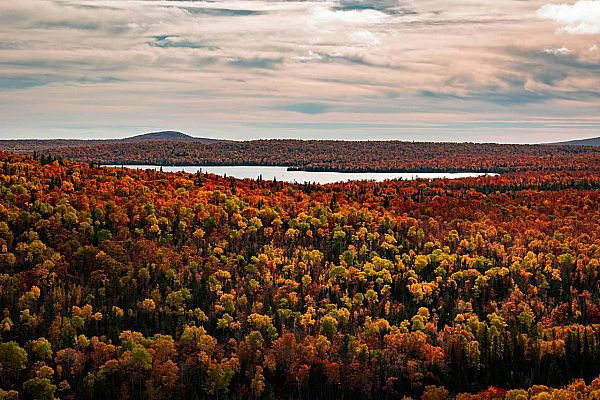 From Fall Colors To Sunset Walks On The Beach, 17 Ways To Explore Your Michigan Romance Together