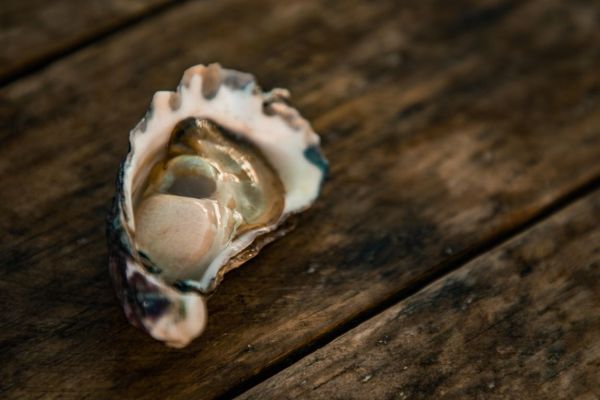 Boost Your Sex Life With These Top 10 Sex-Friendly Foods For The Bedroom