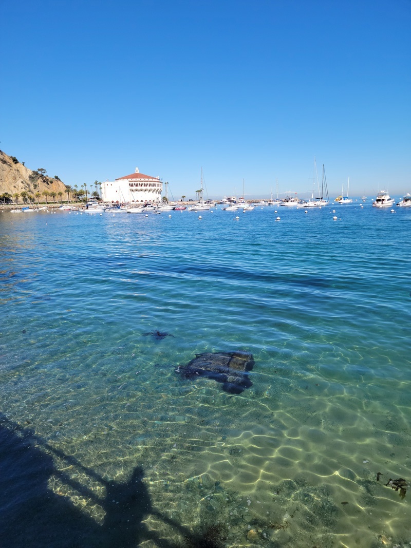 beautiful view avalon harbor catalina island