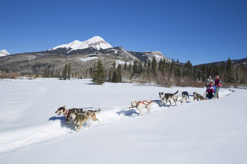 dog sledding in front of engineer mountain during winter Courtesy Of Durango Colorado