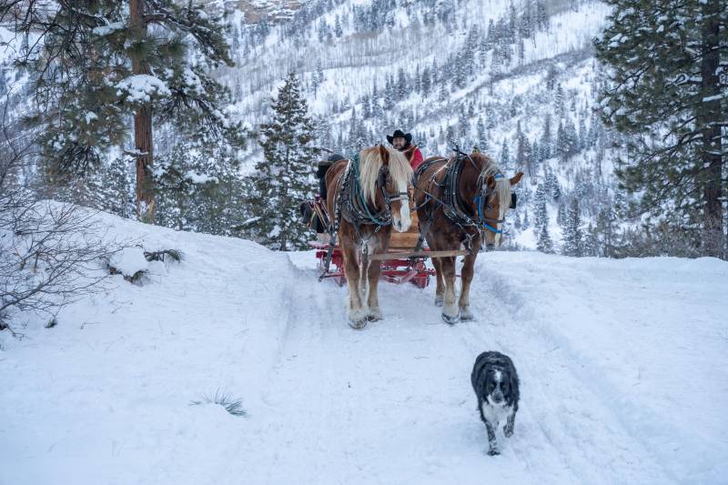 sleigh riding at bears ranch during the winter Courtesy of Durango Colorado