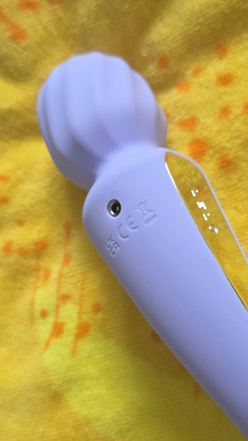 LELO Switch Review