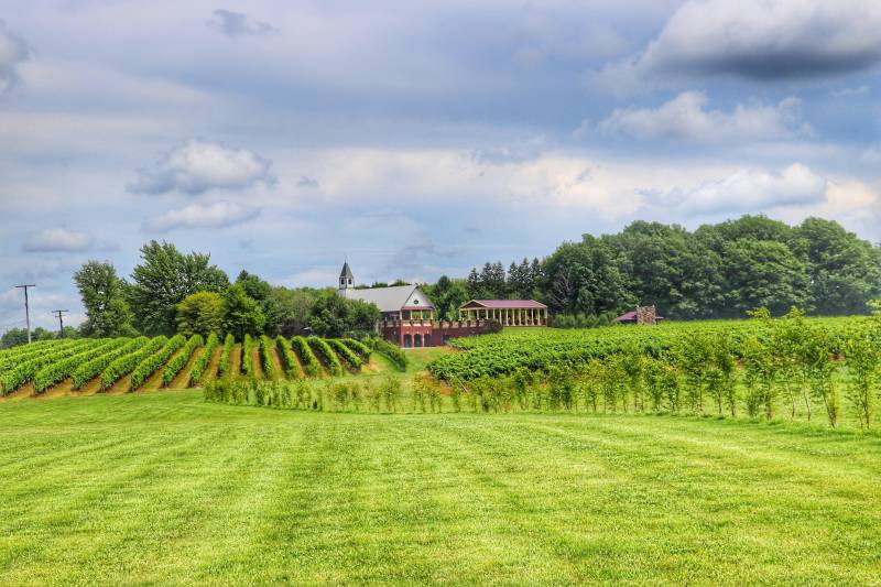 south river vineyard north east ohio