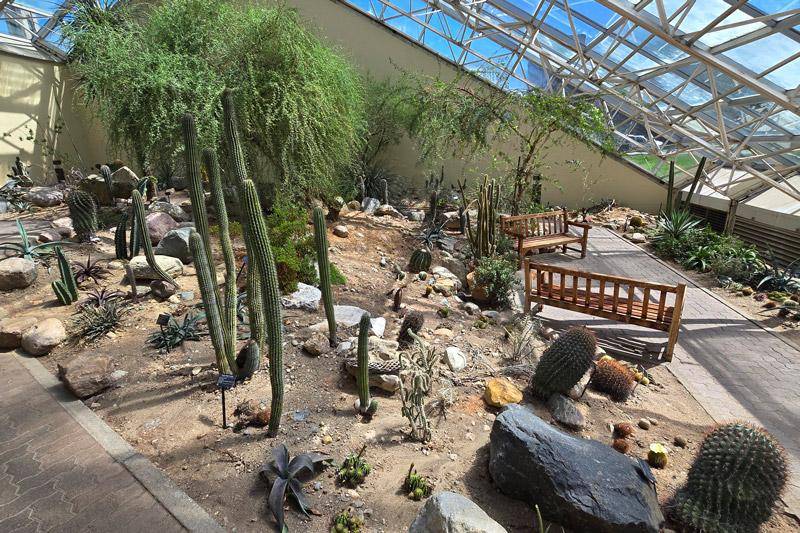 desert biome fort wayne botanical garden