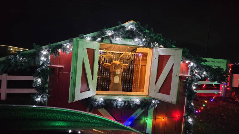rudolph at lights of joy shipshewana