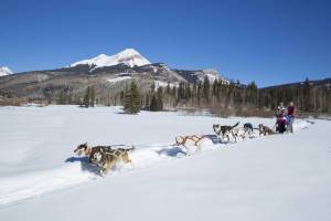 Dog_Sledding_in_Front_of_Engineer_Mountain_During_Winter_original