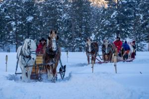 Sleigh_Riding_at_Bears_Ranch_During_the_Winter_4_original